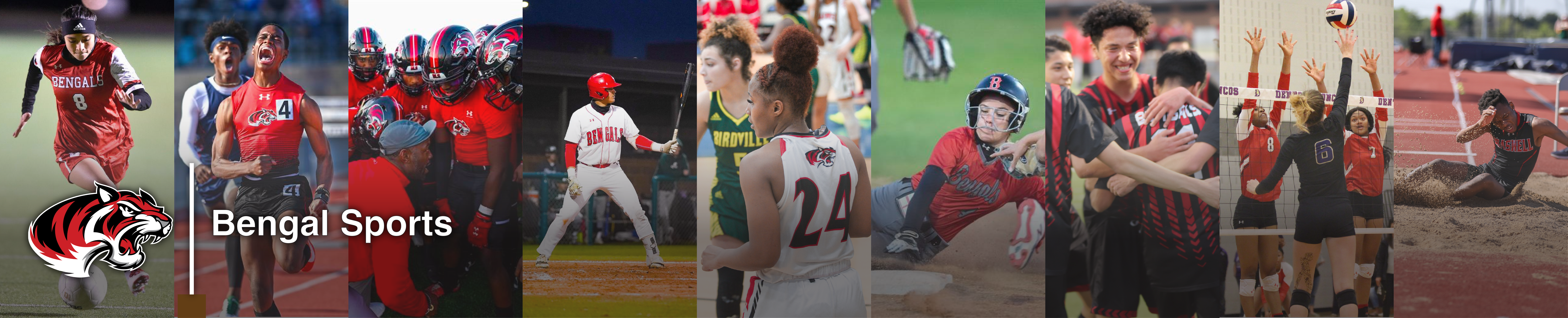 Bengal Sports Banner