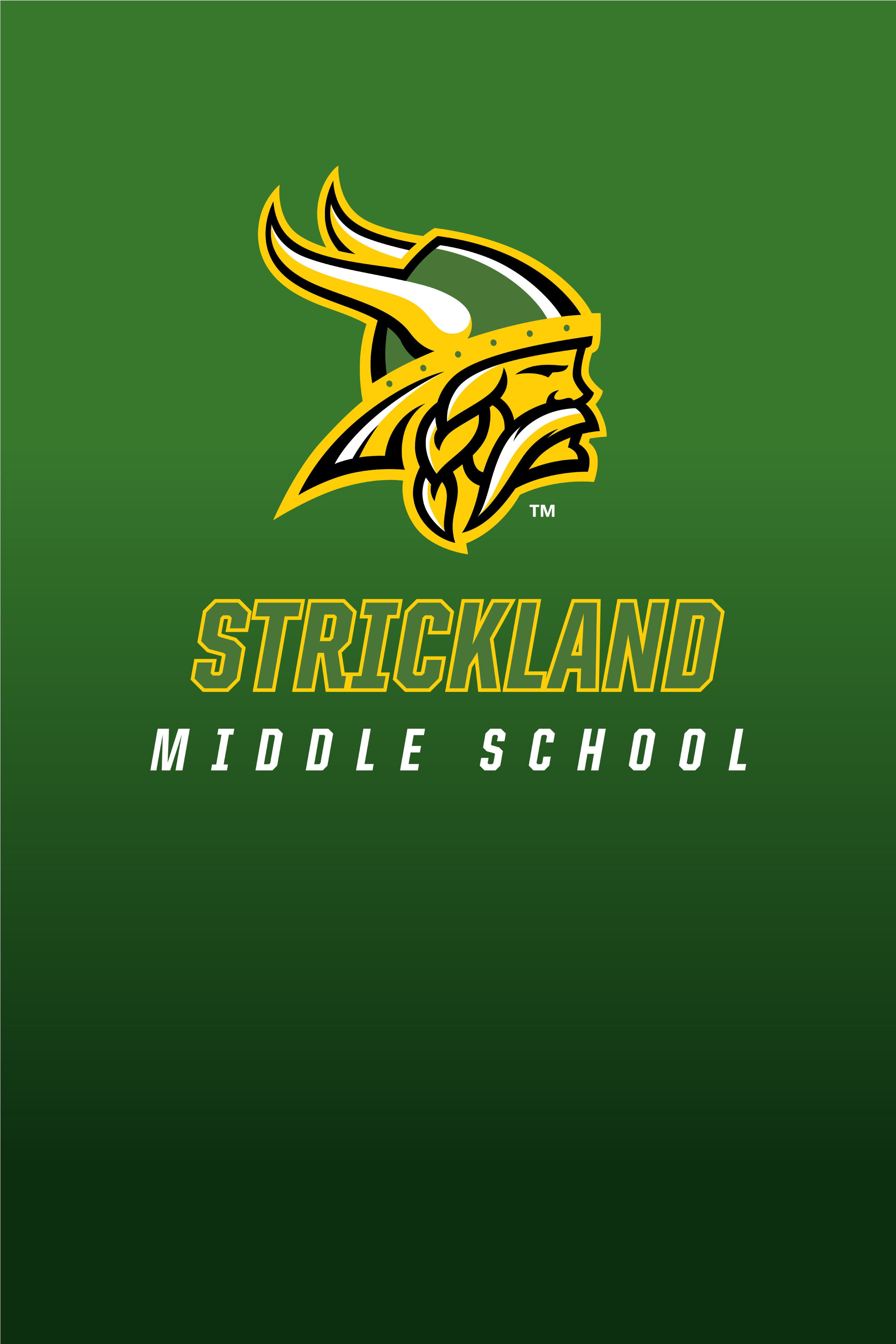 Assistant Principal