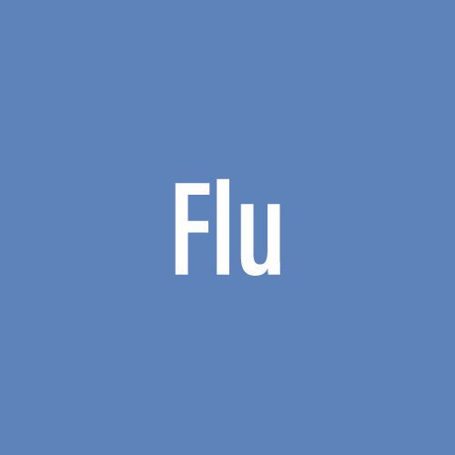 Flu 