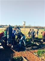 UNT Volunteers 