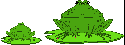frogs